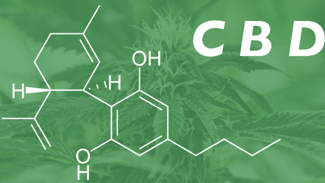 Medihemp CBD olaj