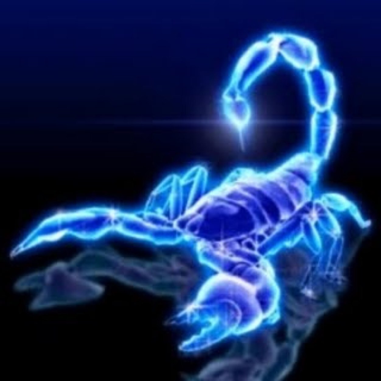 Skorpió horoszkóp