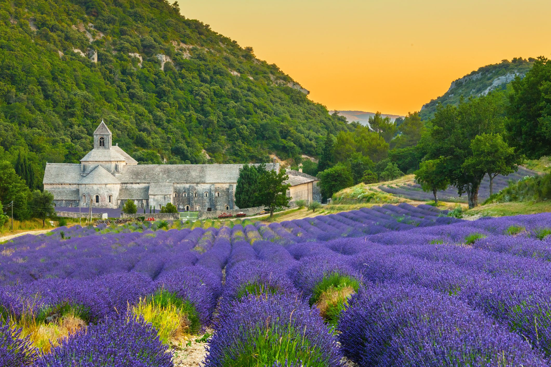 Provence